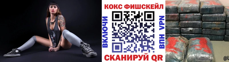 Кокаин FishScale  где купить наркоту  Йошкар-Ола 