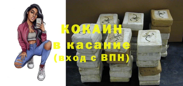 амф Козельск