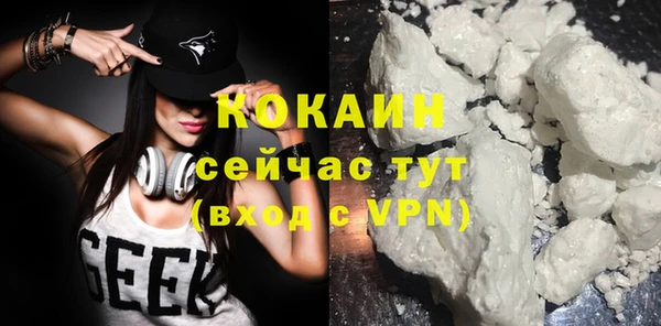 амф Козельск