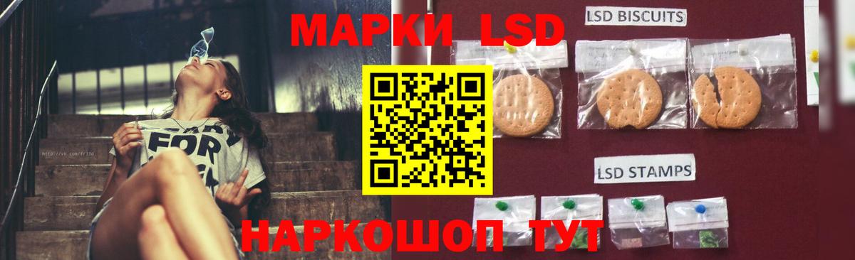 ЛСД экстази ecstasy  Вход с VPN  ЛСД экстази ecstasy  Йошкар-Ола 