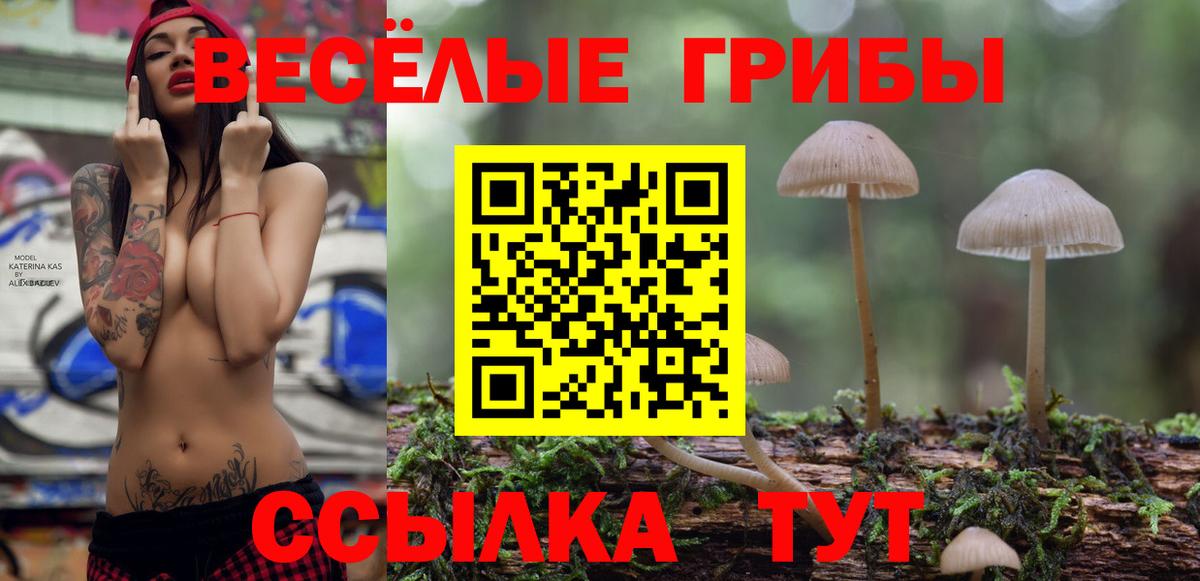 Галлюциногенные грибы мухоморы  Вход с VPN  Йошкар-Ола 